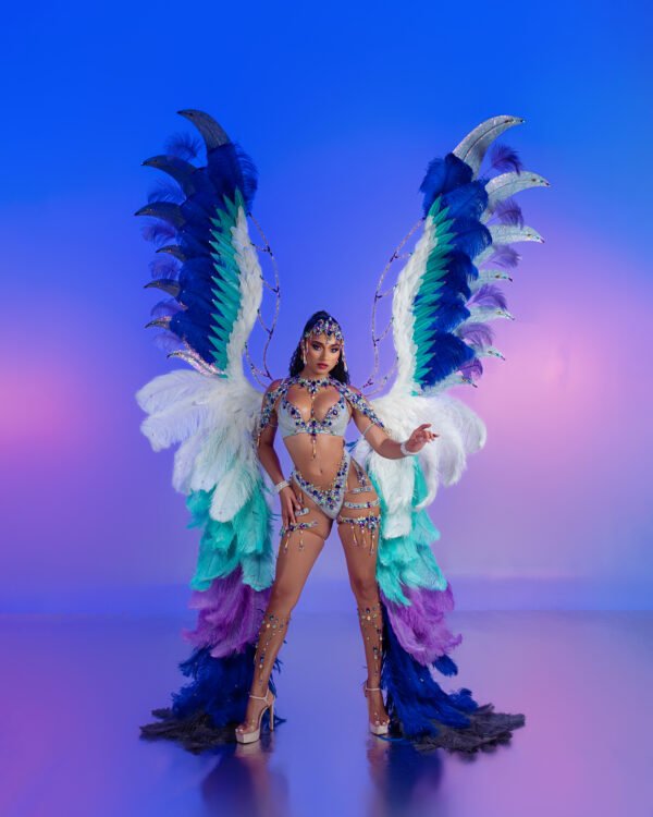 AETHERIA BACKLINE OPTION