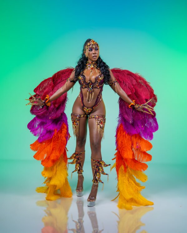 NATORI BACKLINE COSTUME