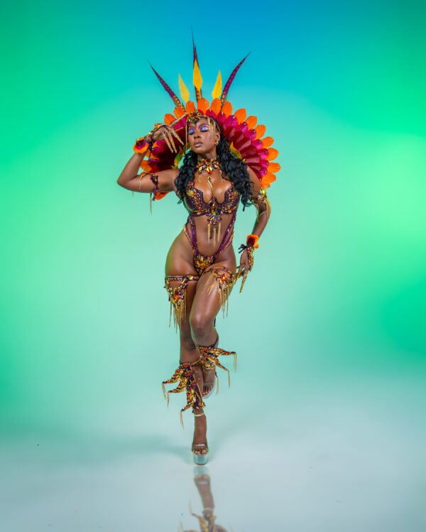 NATORI BACKLINE COSTUME
