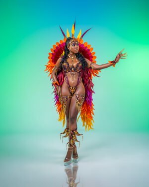 NATORI BACKLINE COSTUME