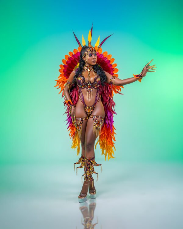 NATORI BACKLINE COSTUME