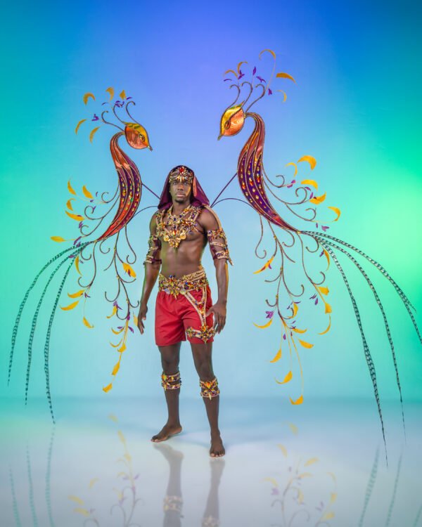 NATORI MALE COSTUME